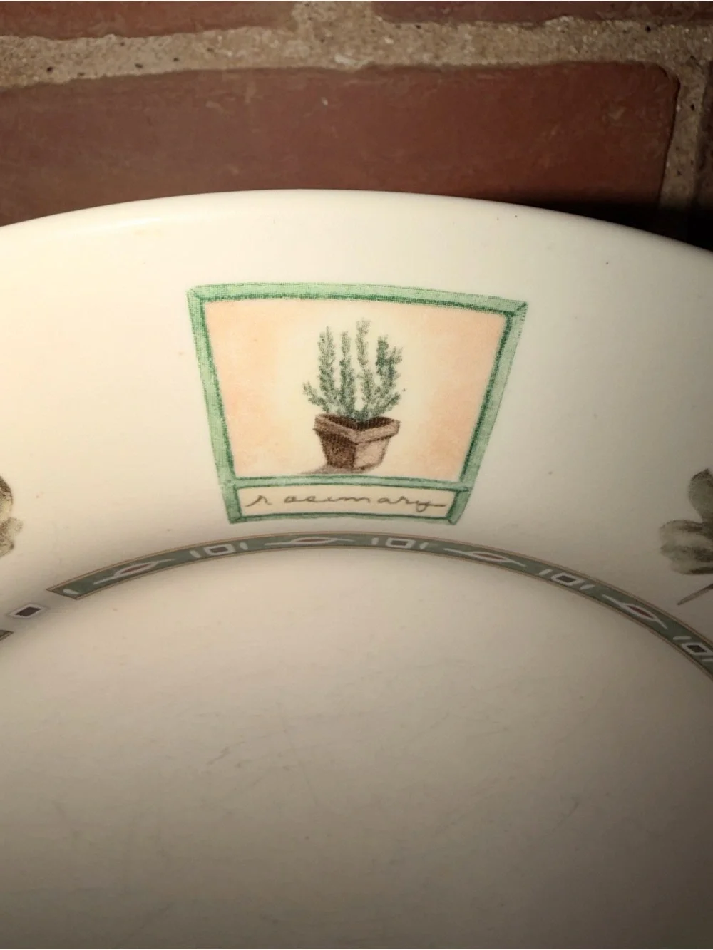 Pfaltzgraff Green Botanical Pattern Ceramic Dinner Plates Set of 14 (7 Each)